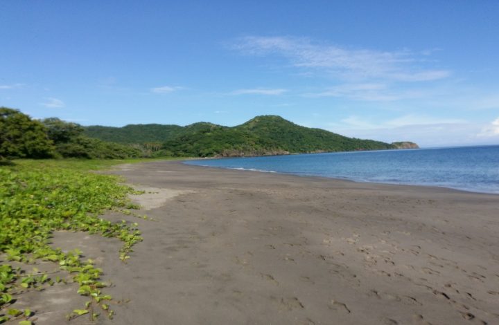 Playa Matapalo